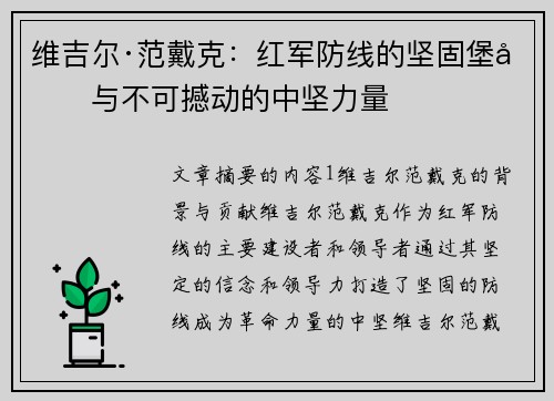 维吉尔·范戴克：红军防线的坚固堡垒与不可撼动的中坚力量