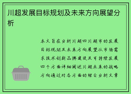 川超发展目标规划及未来方向展望分析